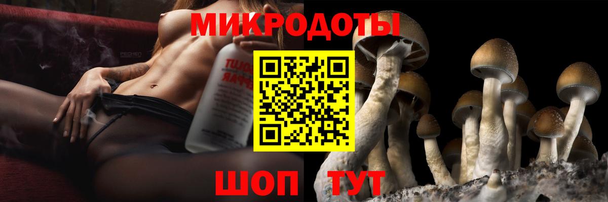 Галлюциногенные грибы Cubensis  Северодвинск 